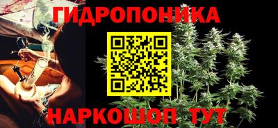 PSILOCYBIN Пугачёв