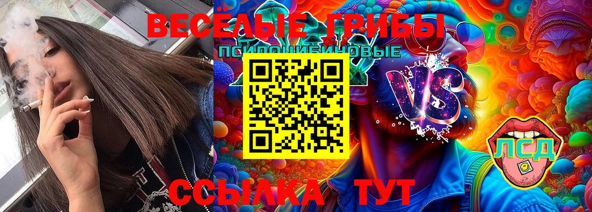 Галлюциногенные грибы GOLDEN TEACHER Рузаевка