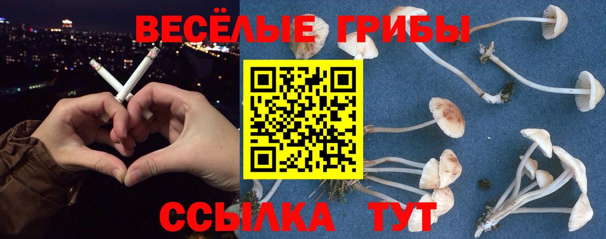 Рузаевка  Галлюциногенные грибы GOLDEN TEACHER  Вход с VPN 
